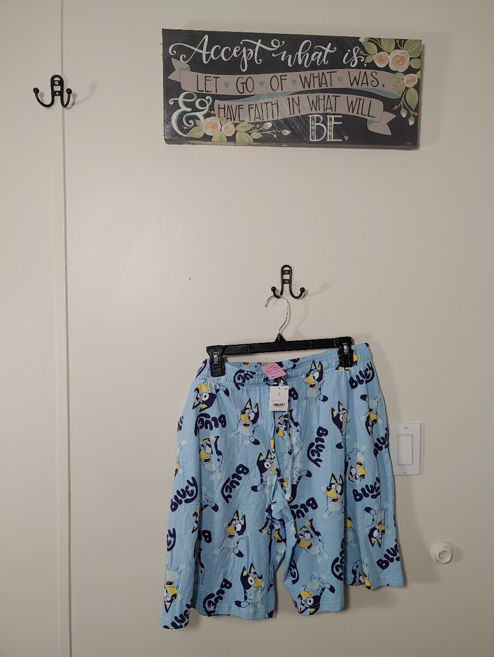 NWT Bluey XL Adorable Boxer Shorts